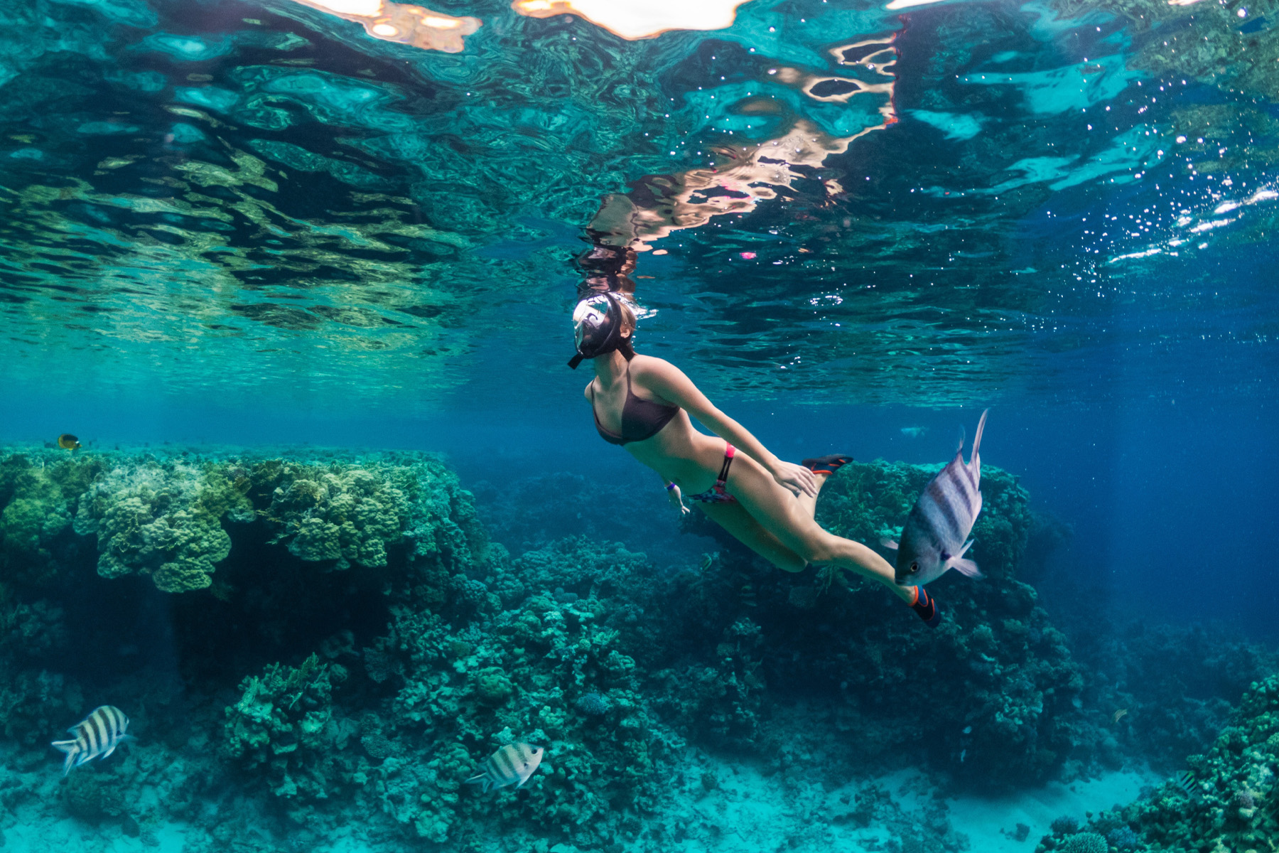 Snorkeling a Cefalù - Emerald - Residence Hotel Cefalù sul mare